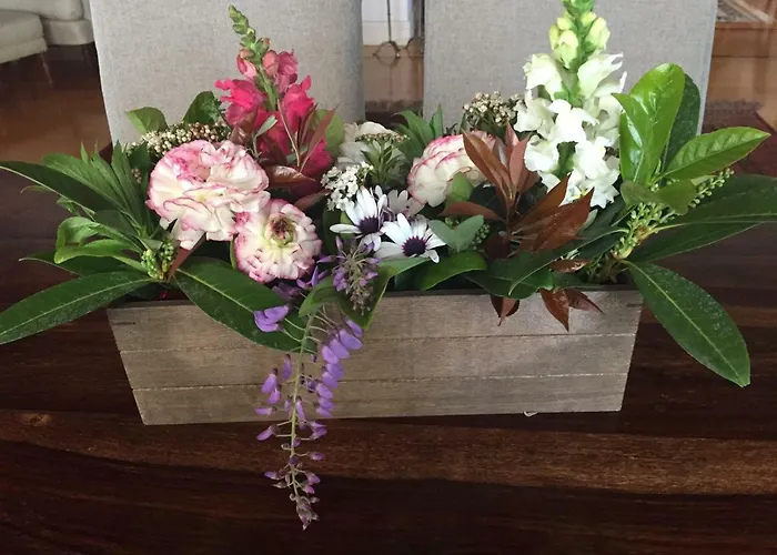 וילה Anna's Mansion