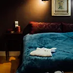 Anna's Mansion * Волос
