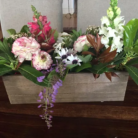 Villa Anna's Mansion